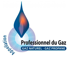 professionnel du gaz